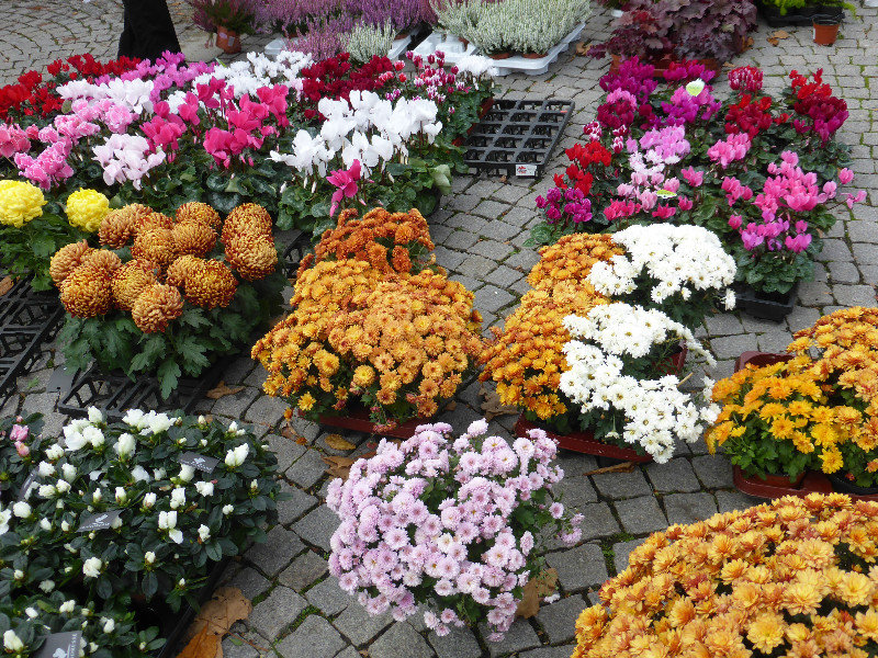Flower market in Stuttgart CBD Germany 29 Oct 2013  (1)