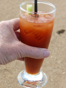 Stopping on the sand bar at Montgomery Reef for a bloody mary and sausage rolls  (29)