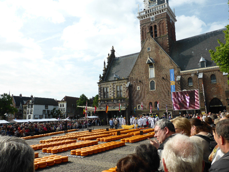 Alkmaar where the cheese market is held each Friday Holland  (11)