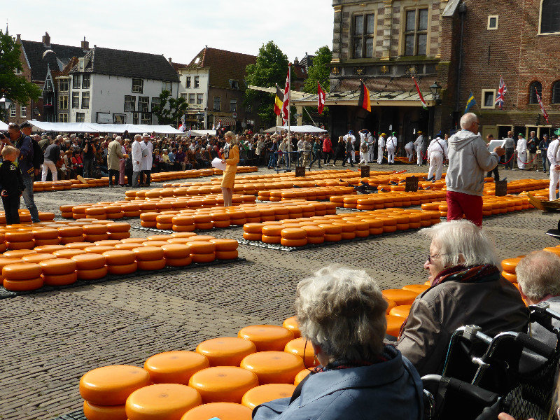 Alkmaar where the cheese market is held each Friday Holland  (13)