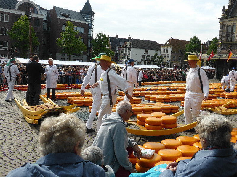 Alkmaar where the cheese market is held each Friday Holland  (14)