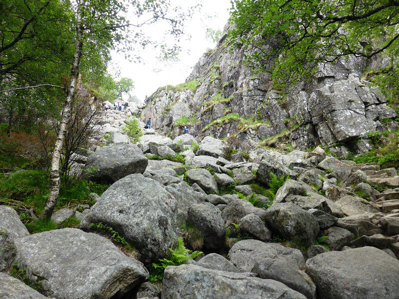 Pulpit Rock Walk (11)