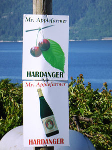 Road along Hardangerfjorden (17)