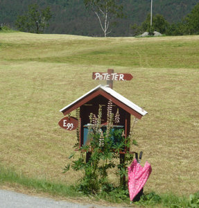 Road along Sorfjorden Highway 13 (8)
