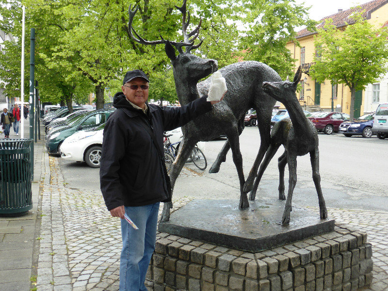 Tom feeding animals in Trondheim