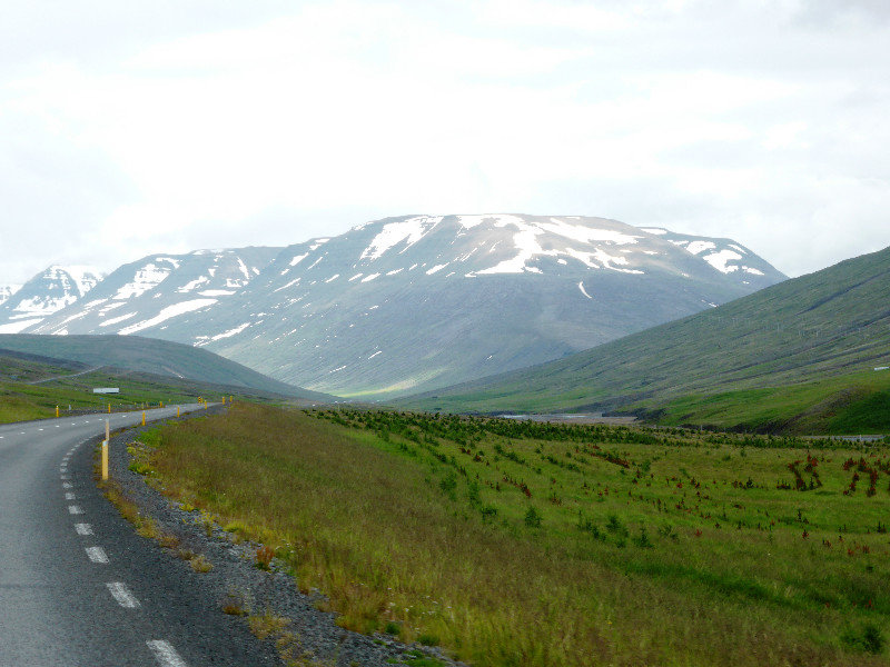 Oxnadalsheidi Pass west of Akureyi (6)