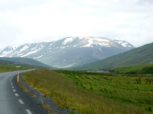 Oxnadalsheidi Pass west of Akureyi (6)