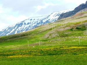 Oxnadalsheidi Pass west of Akureyi (45)