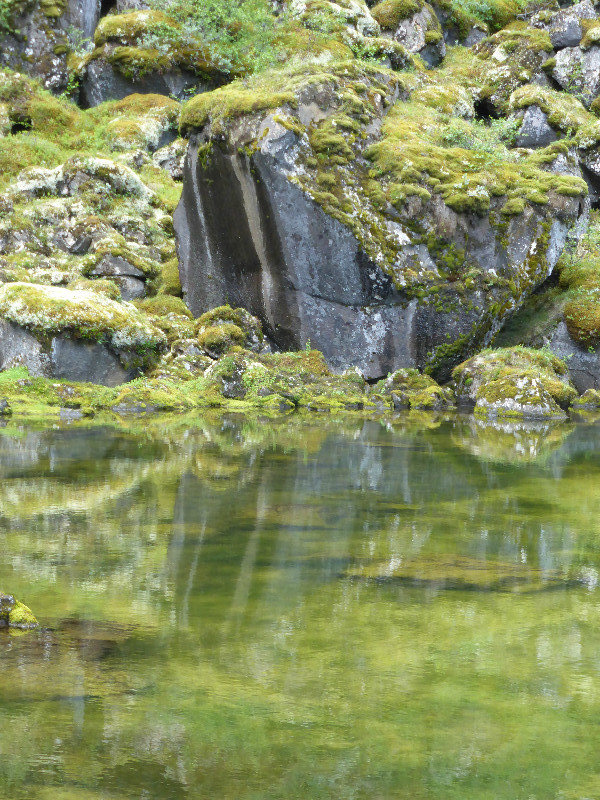 Botnstjorn pond in Asbyrgi Gorge (2)