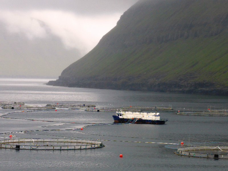 Fish farms in fjord (4)