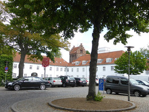 Odense Denmark (1)