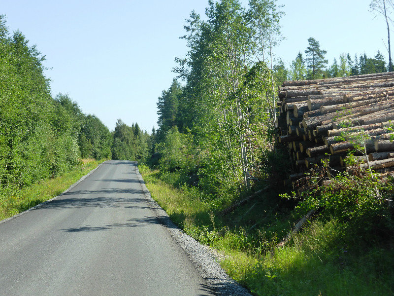 Extensive wood industry in Sweden in Hoga Kusten Central Coast Sweden