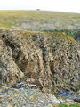 Cliffs at North Cape Norway (4)