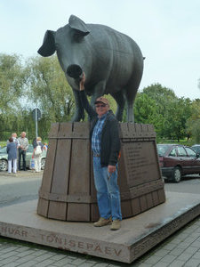 Pig sculpture in Tartu in eastern Estonia 15 August (1)