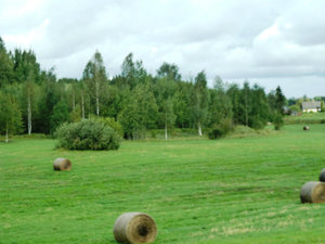 Cesis Countryside in Latvia (1)