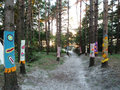 Sand dunes at our camp site in Liepaja Latvia (1)