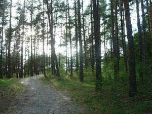 Liepaja Camp Site on west coast of Latvia (5)