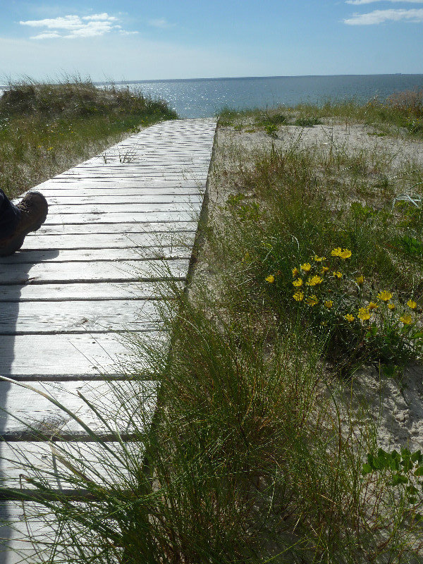 Curonian Spit - 100kms long one third in Lithuania and 2 thirds in Russia (8)