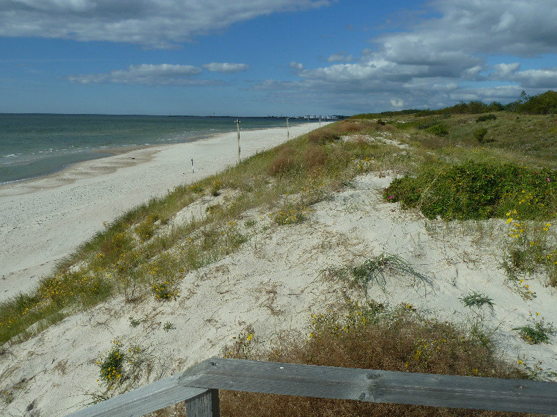Curonian Spit - 100kms long one third in Lithuania and 2 thirds in Russia (12)