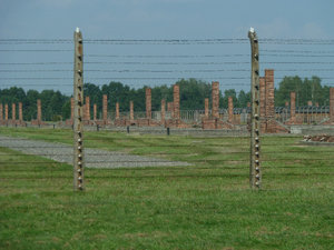 Birkenau Concentration Camp Poland (22)