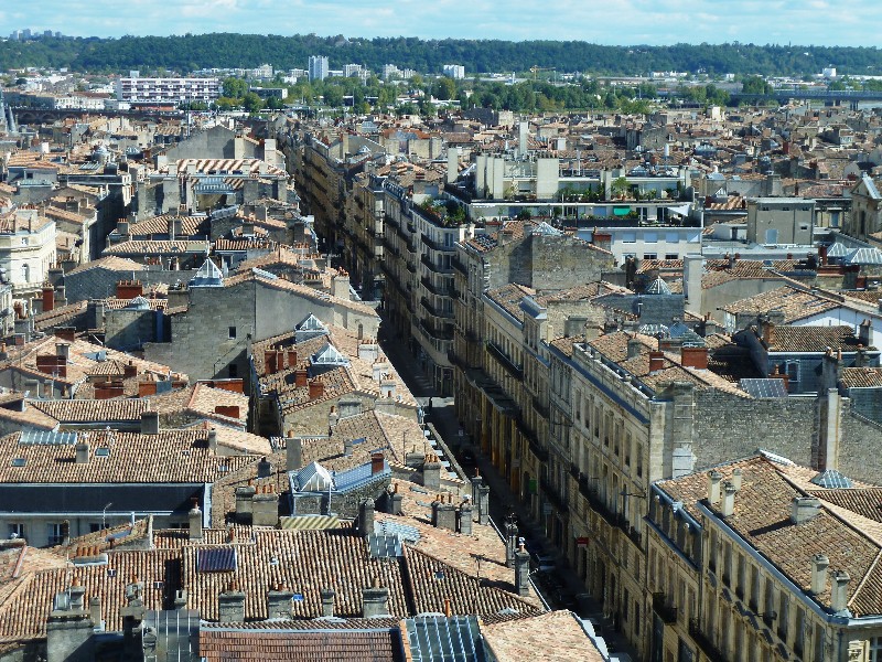 Bordeaux France - from the top of Tour Pey Berland (4)