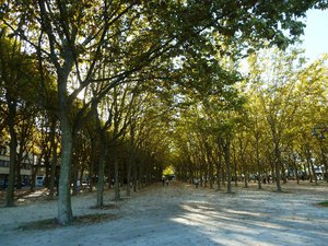 Bordeaux France - this park is famous for having nothing in it (1)