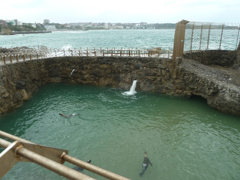 Santander in northern Spain 8 October 2014 seal enclosure (2)
