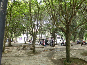 Huaxi Park in Guiyang southern China (11)