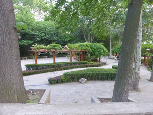 Xi'an city gardens (5)