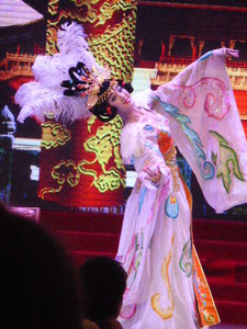 Shaanxi Sunshine Lido Grand Theatre show in Xi'an (11)