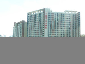 Zhengzhou - typical apartment blocks we saw all over China