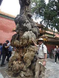 Forbidden City gardens Beijing (1)