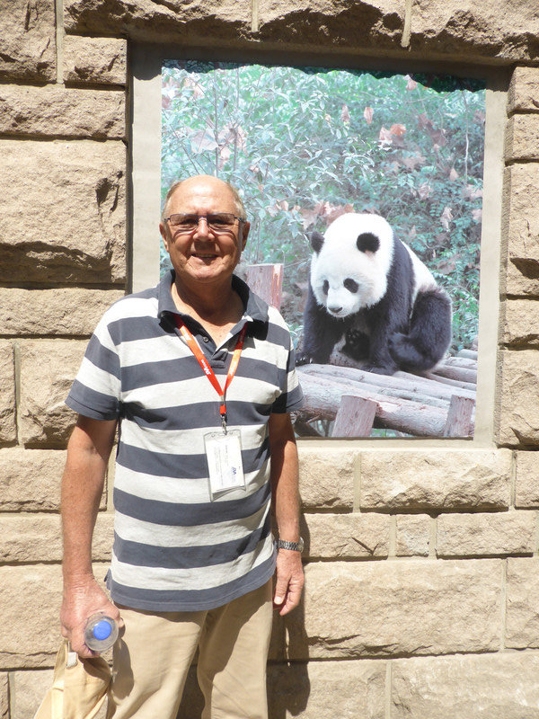Pandas at the Beijing Zoo (10)