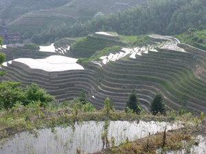 Longji Terraced Fields scenes (15)