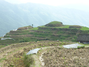 Longji Terraced Fields village  (8)