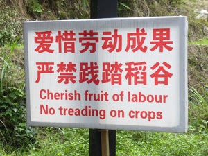 More Chinese translations.