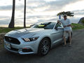 Mustang we hired in Waikiki (1)