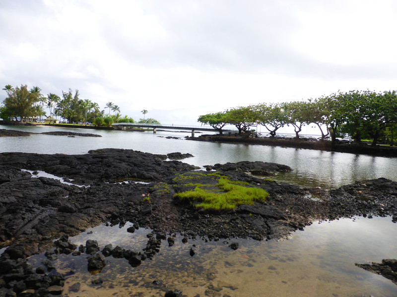 Coast line in Hilo that used to have houses on it before the Tsunami (1)