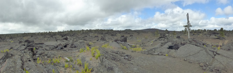 In 1990, lava from Kilauea volcano engulfed Kalapana, a historic Hawaiian fishing village and residential area (1)