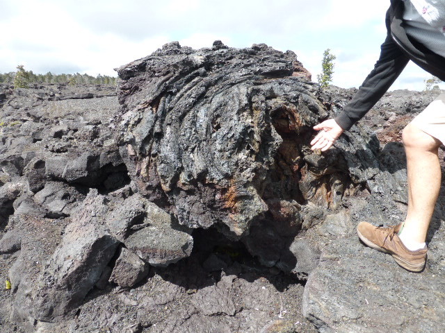 Tom pointing to a big trunk consumed by lava