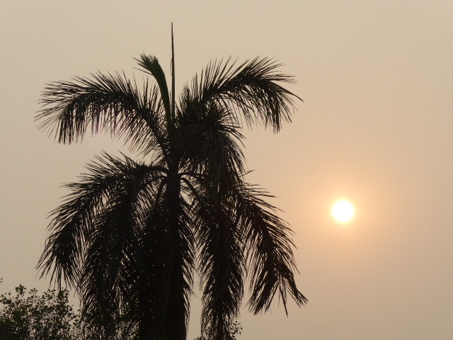Delhi Smog heading towards sunset