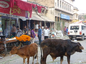 Market area in Mandawa (3)