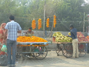 On the way to Mandawa, Rajasthan (11)