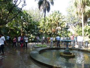 Saheliyon Ki Bari Gardens Udaipur - tranquil (1)