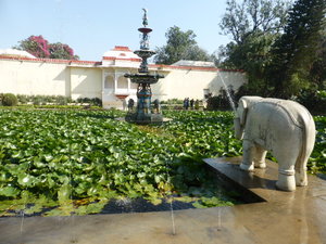 Saheliyon Ki Bari Gardens Udaipur - tranquil (8)