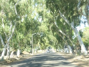 Sights on the way to Ranakpur - Aust gums