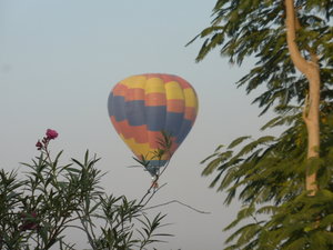 Hot-air Baloon rides over Pushkar (1)