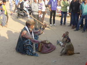 People at the Pushkar Animal Fair (7)