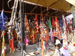 Pushkar Animal Fair - bridles anyone