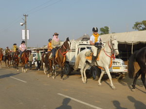Pushkar Animal Fair (9)